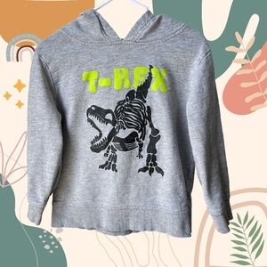 3/$15  2T Monkey Bars Hoodie